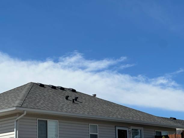 Best Slate Roofing  in Fellsmere, FL